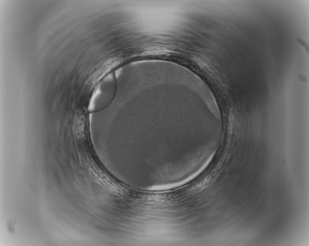 X0000102041401200808151355