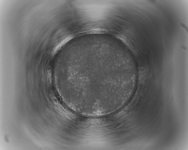 X0000102041402200808151355