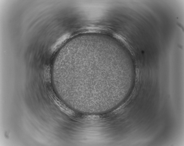 X0000102041403200808151355