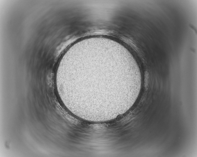 X0000102041404200808151355