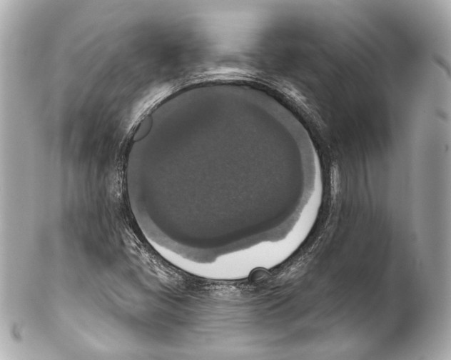 X0000102041405200808151355