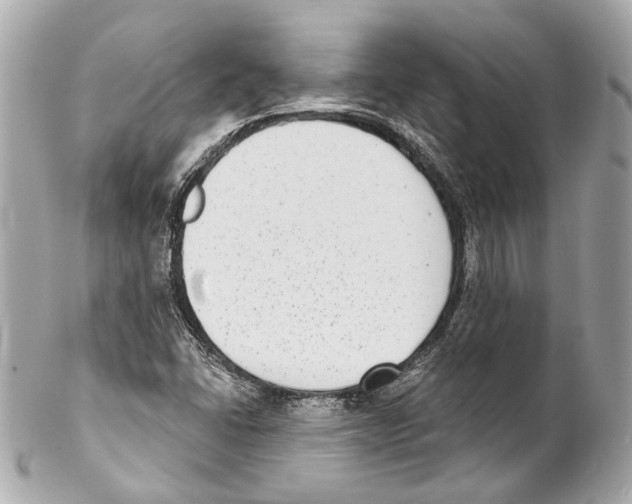 X0000102041406200808151356