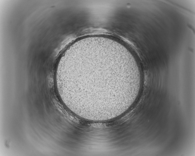 X0000102041407200808151356