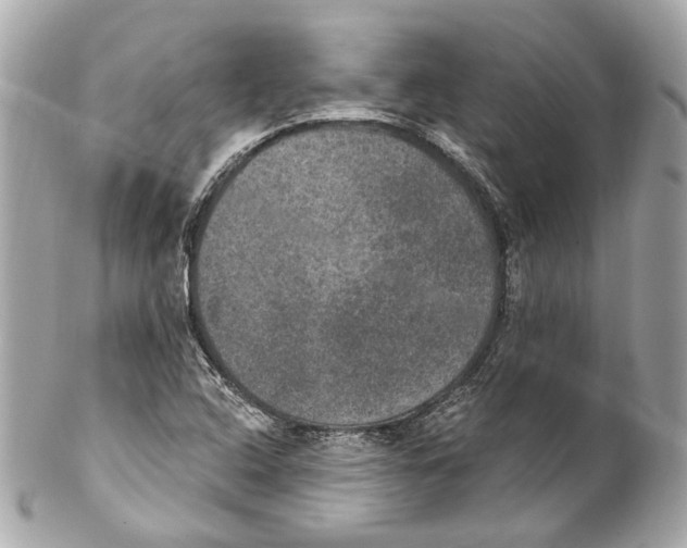 X0000102041408200808151356