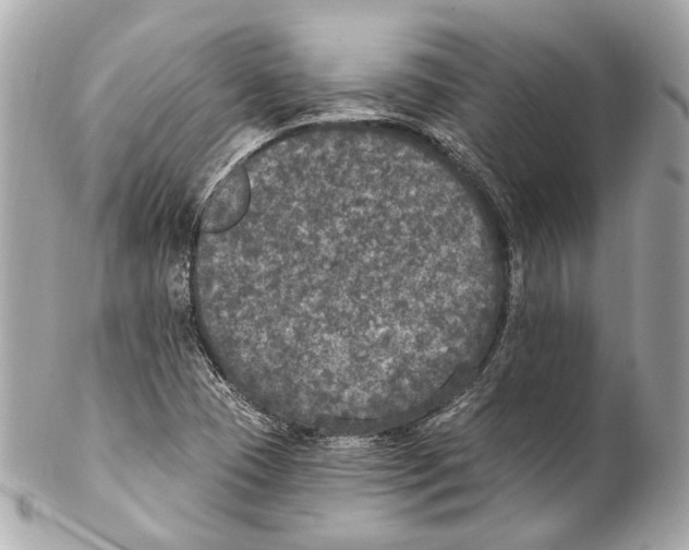 X0000102041409200808151356