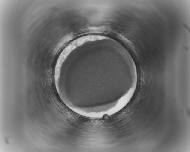 X0000102041411200808151356