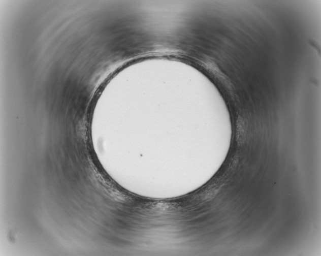 X0000102041412200808151356