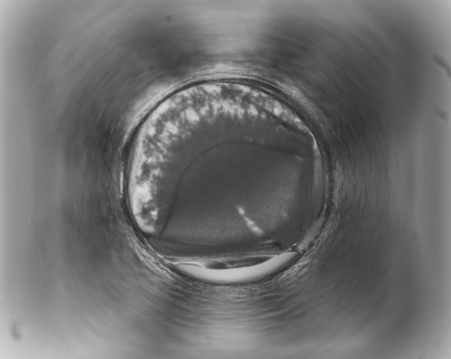 X0000102041413200808151356