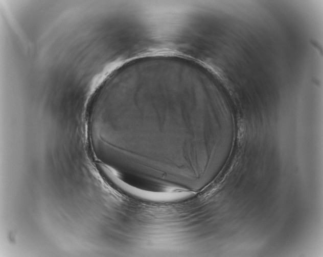 X0000102041414200808151356