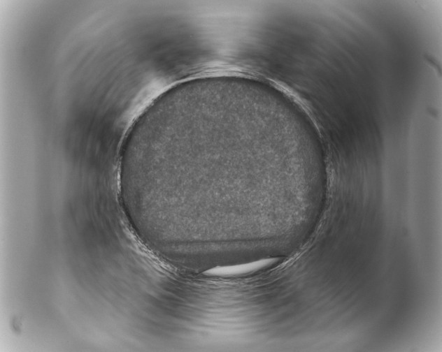 X0000102041415200808151356