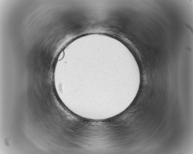 X0000102041416200808151356