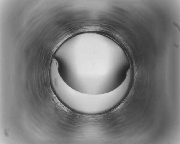 X0000102041417200808151356