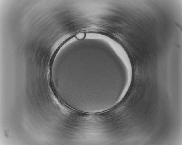 X0000102041418200808151356