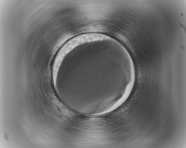 X0000102041419200808151356