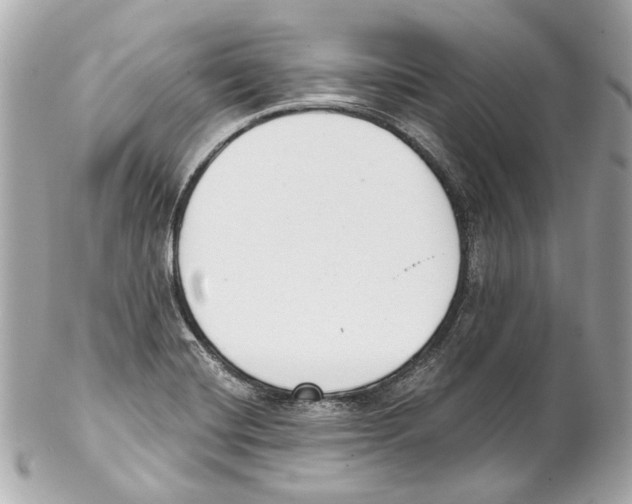 X0000102041420200808151356