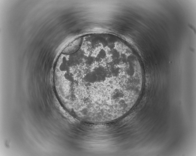 X0000102041421200808151356