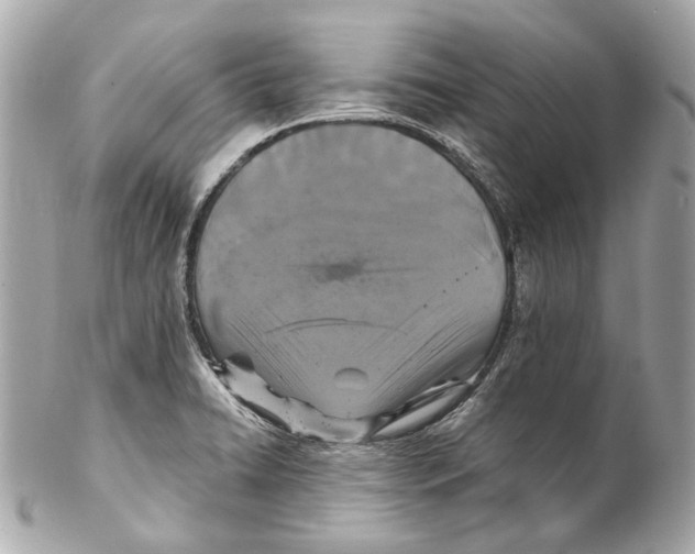 X0000102041422200808151356