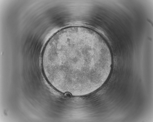 X0000102041424200808151356