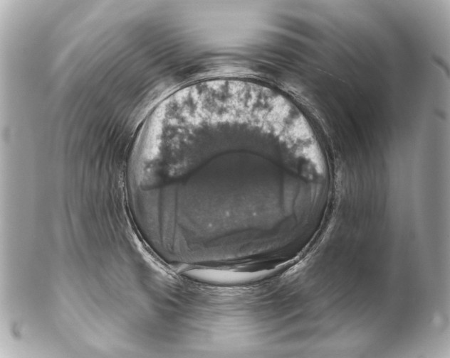 X0000102041425200808151356