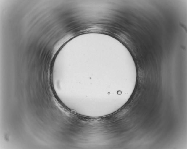 X0000102041426200808151356