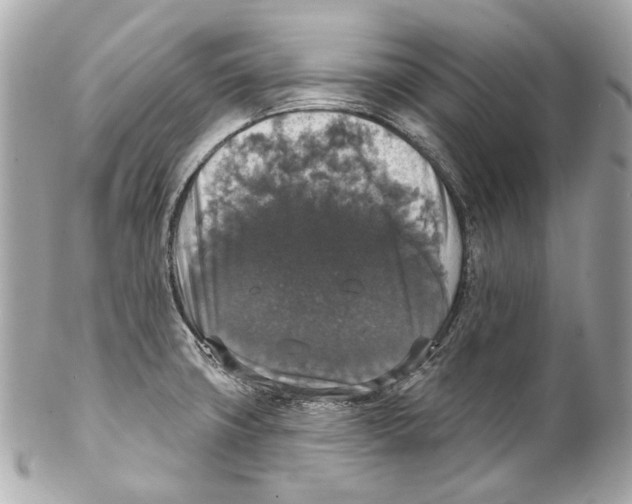 X0000102041427200808151356