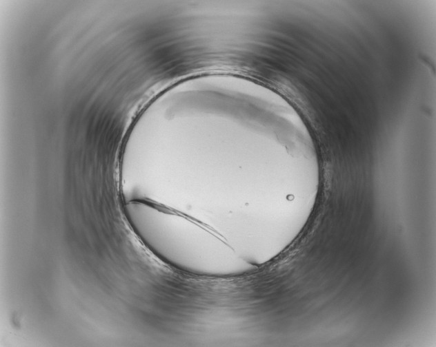 X0000102041428200808151356