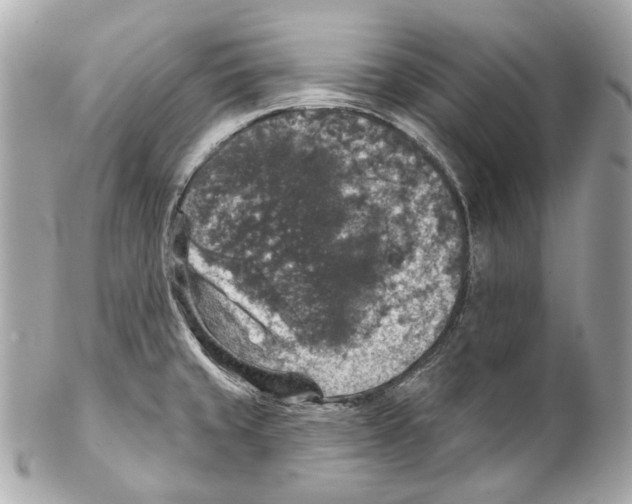 X0000102041429200808151356