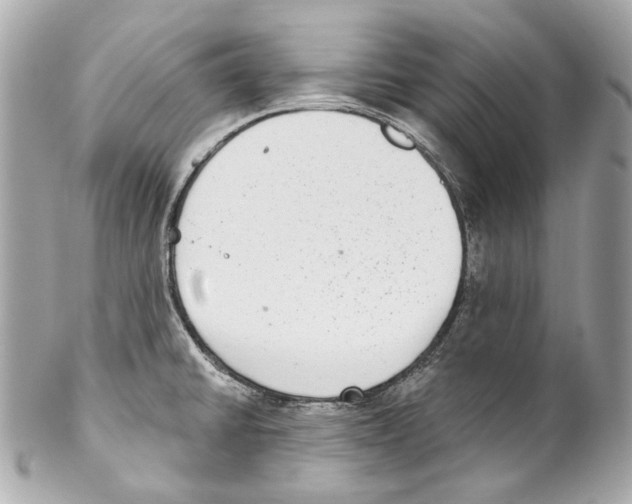 X0000102041430200808151356