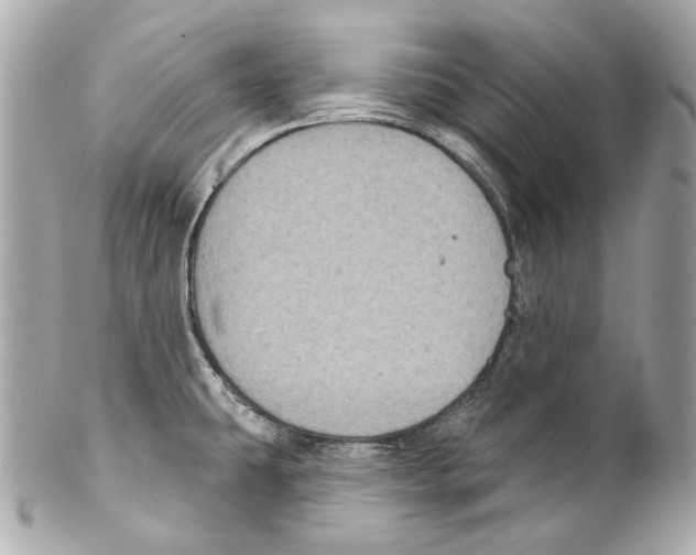 X0000102041431200808151356