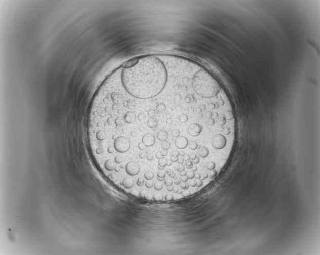 X0000102041432200808151356