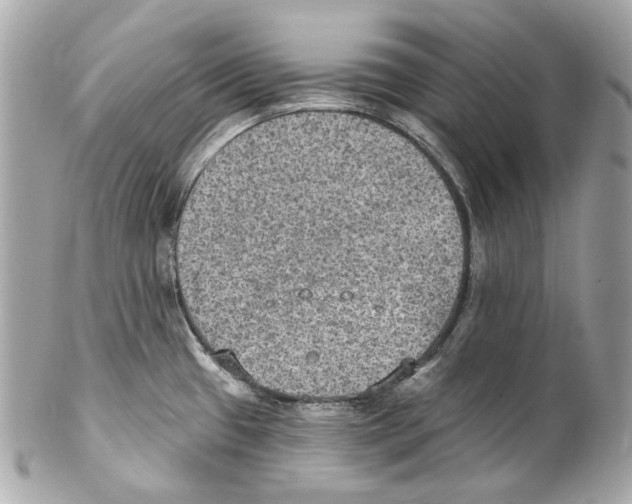 X0000102041433200808151356