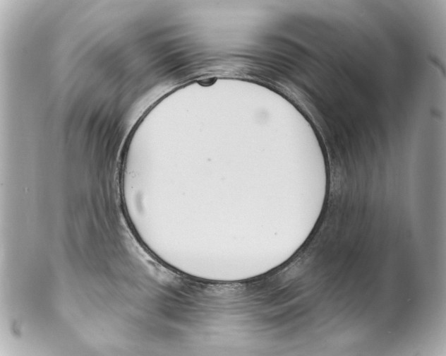 X0000102041434200808151356