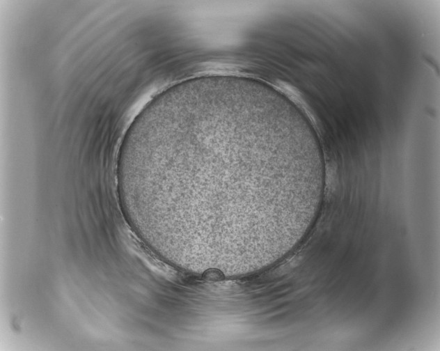 X0000102041435200808151356