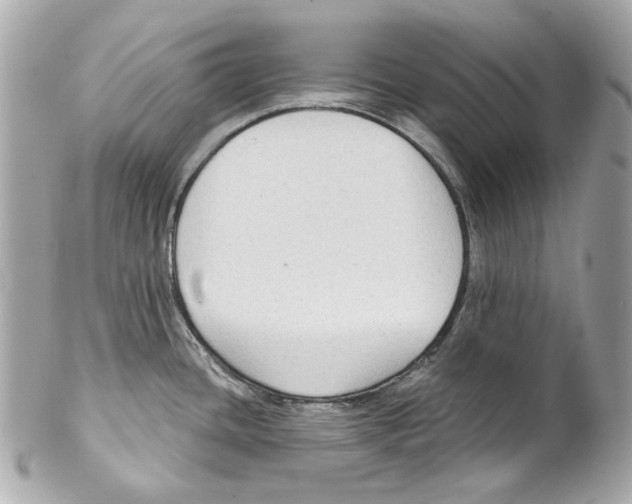 X0000102041436200808151356