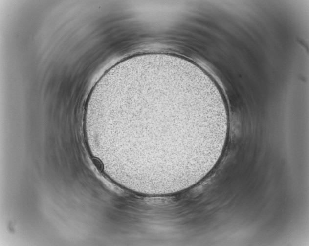 X0000102041437200808151356