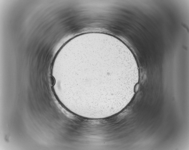 X0000102041438200808151356