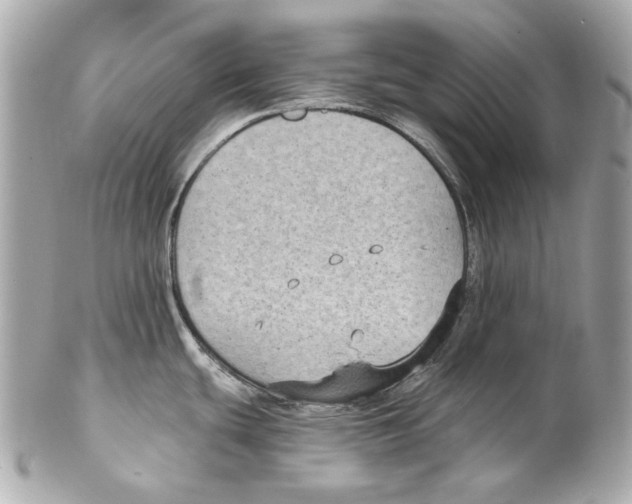 X0000102041439200808151356