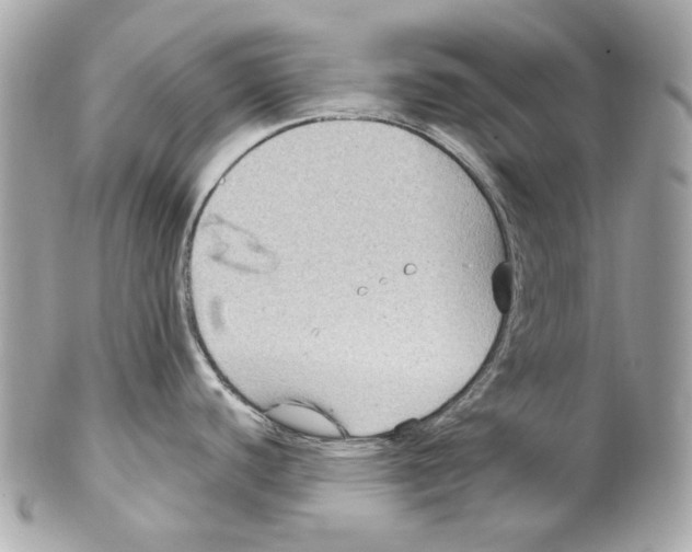 X0000102041440200808151356