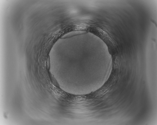 X0000102041441200808151355