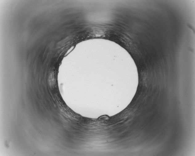 X0000102041442200808151355