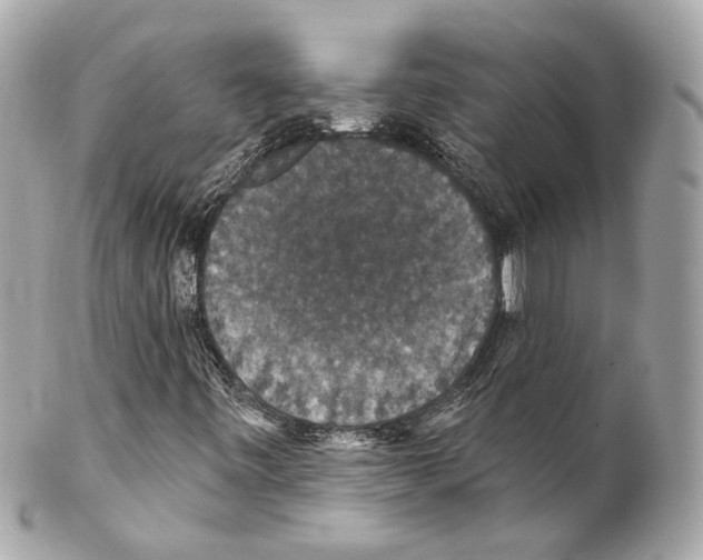 X0000102041443200808151355