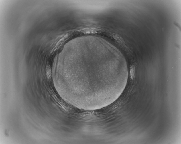 X0000102041444200808151355