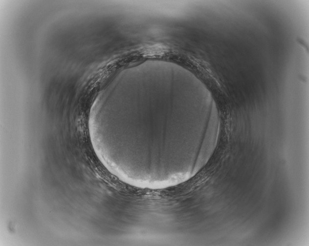 X0000102041445200808151355