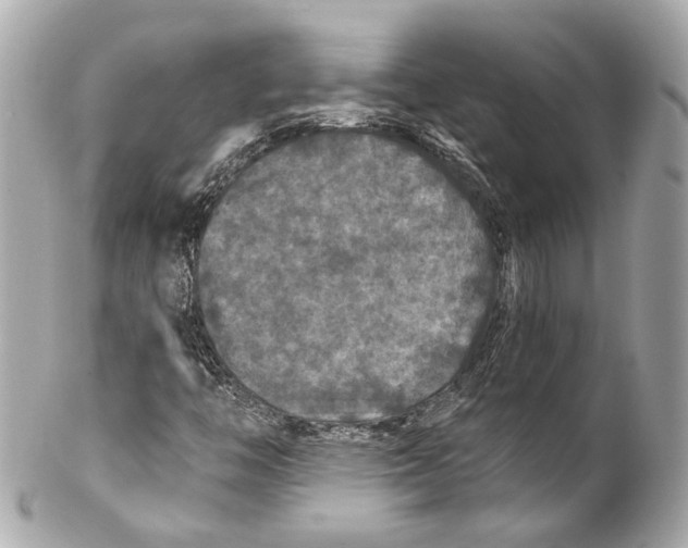 X0000102041446200808151355