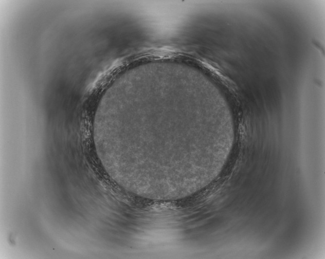 X0000102041447200808151355