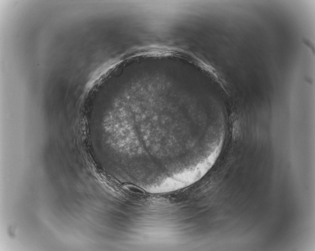 X0000102041448200808151355