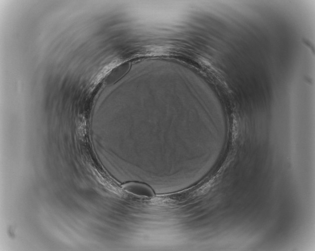 X0000102041449200808151355