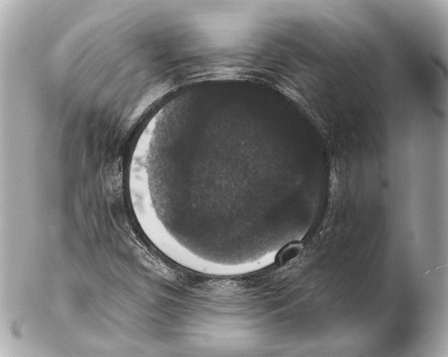 X0000102041450200808151355