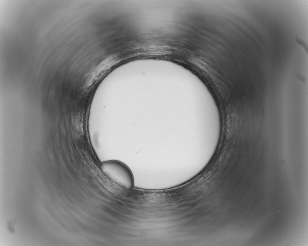 X0000102041451200808151355