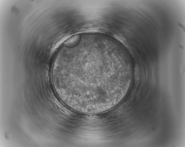 X0000102041452200808151355